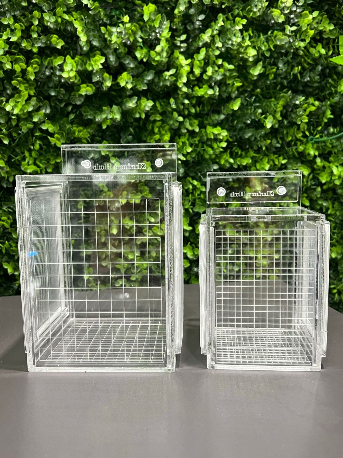 Shrimp Breeder Box