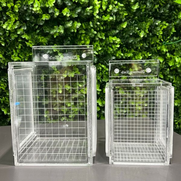 Shrimp Breeder Box