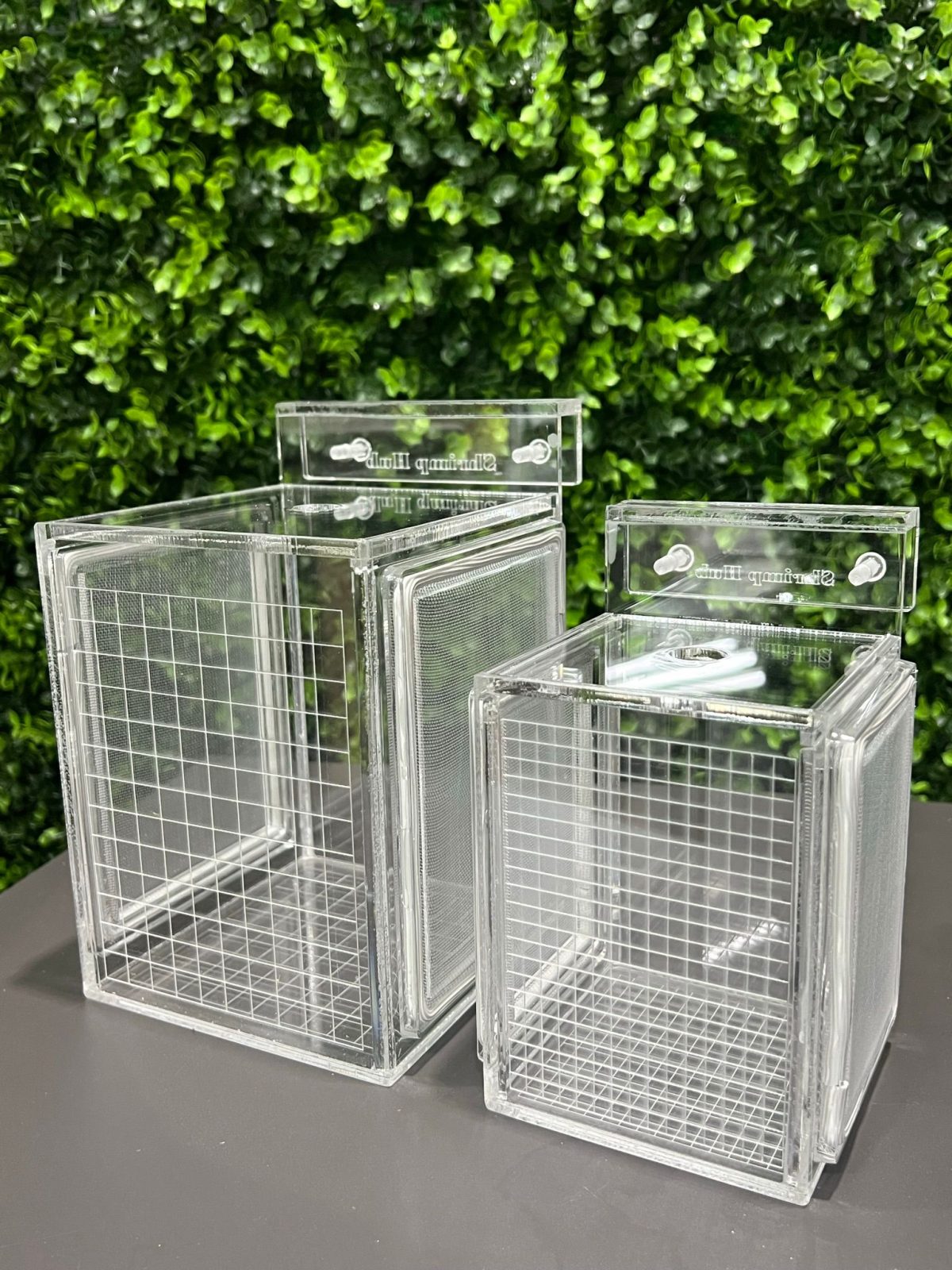 Shrimp Breeder Box - Image 2