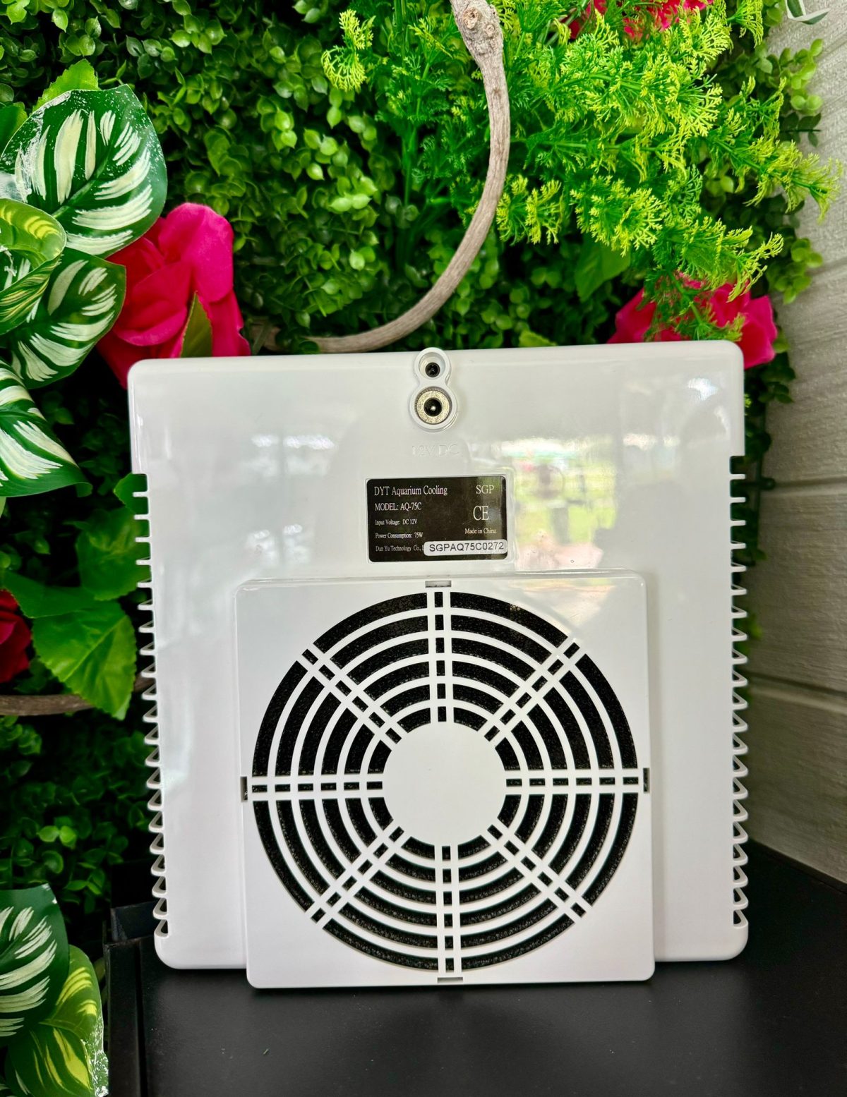DYT Chiller - Image 2
